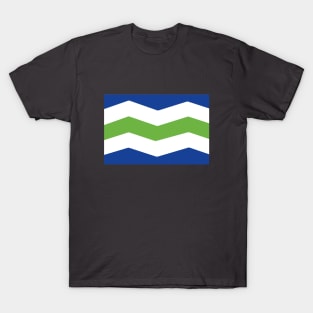 Flag of Burlington, Vermont T-Shirt